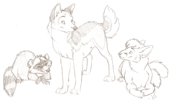 Raccoon, Aviat, and Sunoo
