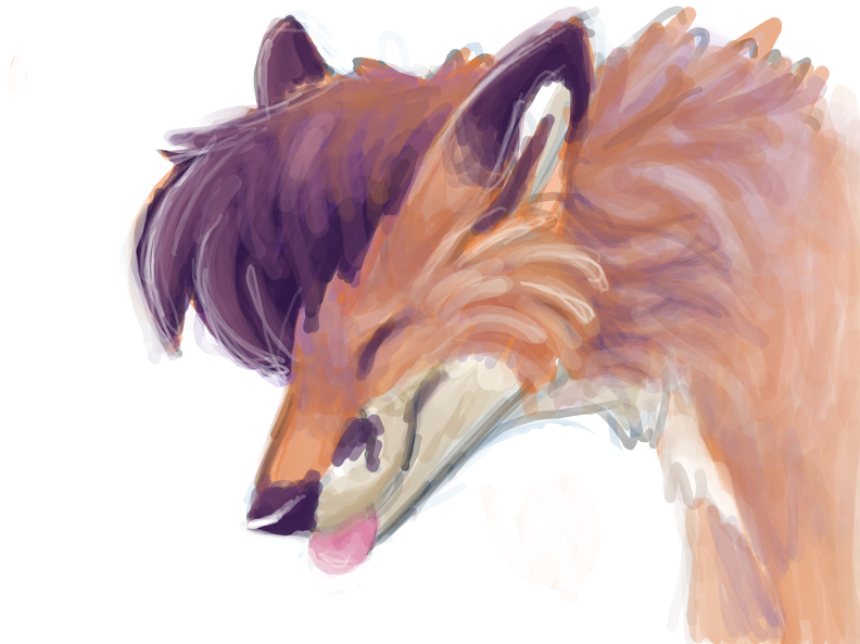 Yote - Colors DS Drawing.png